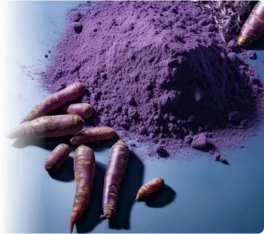 Purple Herbal Ingredient