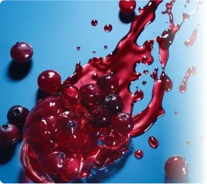 Red Fruit Ingredient